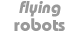 exentric web design & hosting our flying robots in 2004